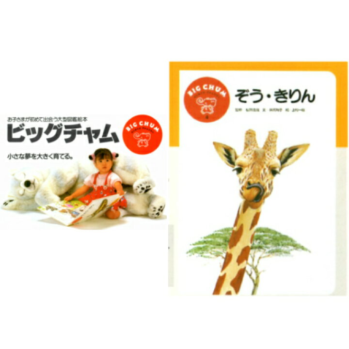 楽天市場 知育絵本 大型図鑑絵本 ビッグチャム第4巻 ぞう きりん リブロック中部楽天市場店 楽天市場 知育絵本 大型図鑑絵本 ビッグチャム第4巻 ぞう きりん リブロック中部楽天市場店