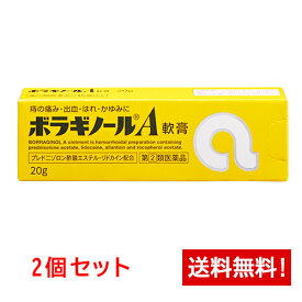 【第(2)類医薬品】ボラギノールA軟膏 20g×2本セット