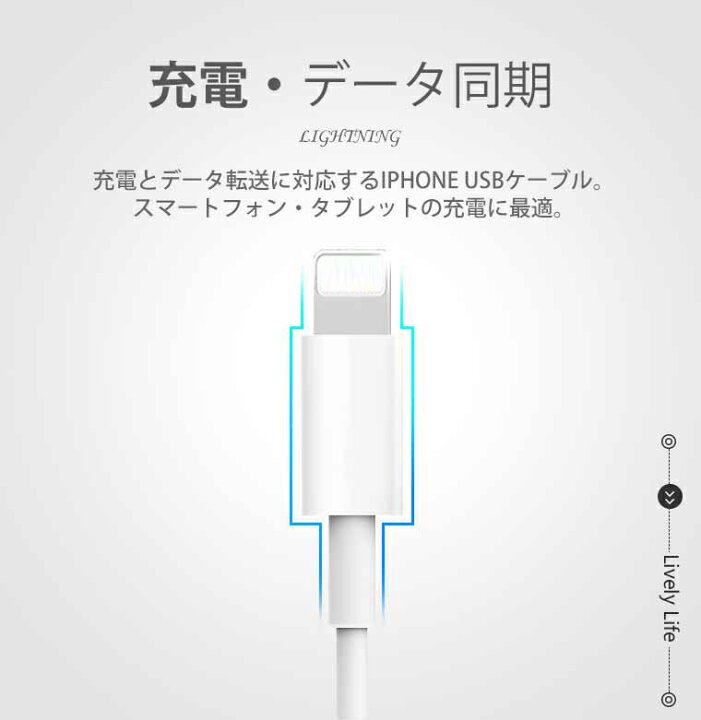 楽天市場】【2本セット】iPhone 13/13 Pro/13 Pro Max USB 充電 
