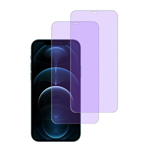 iPhone �t�B���� �u���[���C�g�J�b�g iPhone17e iPhone17pro max �t�B���� iPhone16e �t�B���� iPhone16 �t�B���� iPhone15 �t�B���� iPhone14 Pro Max iPhone13 �ی�t�B���� �u�����C�g�J�b�g iPhone SE3 SE2 ��3���� ��2