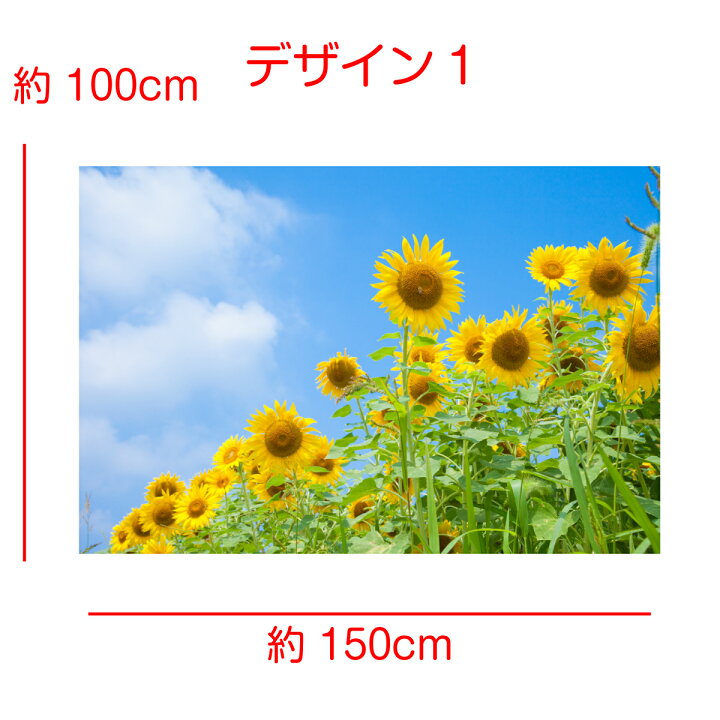 楽天市場 インテリア タペストリー ひまわり 花 夏 フラワー 植物 太陽 夕日 夕焼け 青空 緑 おしゃれ ポスター テレワーク 背景 リモートワーク 大きい 壁 布 目隠し ファブリックポスター 部屋 飾り 間仕切り パーテーション Zoom 映え 雲 写真撮影 ボタニカル 向日葵