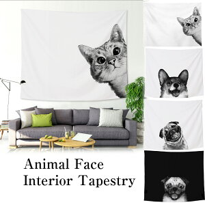 CeA ^yXg[   L  pO 唻 傫   mg[ |X^[ ډB z   t iF e[N [g[N wiz t@ubN|X^[ C