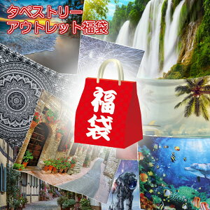 yʌ蕟܁IfUC낢5Iz ^yXg[ AEgbg  k Ǌ| a_ 唻 a i iF |X^[ e[N wi 傫  z ډB t@u