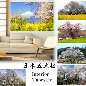 ^yXg[  hn Ot R_  CeA ǖ  i iF i 唻 傫   t G v[g wiz t@ubN|X^[  CX^