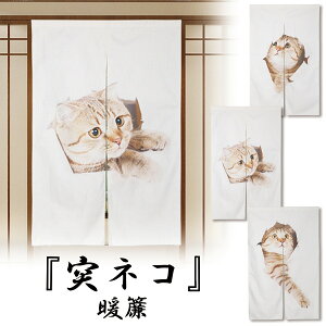 カーテン ブラインド おしゃれ 玄関 目隠しの人気商品 通販 価格比較 価格 Com