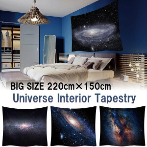 ^yXg[    F f n   i i ʐ^ 傫  CeA z ډB t@ubN|X^[ wi e[N wiz   傫 唻   z