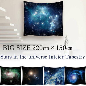 ^yXg[  220×150cm   F f n   i i ʐ^ 傫  CeA z ډB t@ubN|X^[ wi e[N wiz   傫 唻 