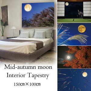 ^yXg[   H 傫 R i \ܖ H   CeA 唻 i gt Be wi z ꂢ   傫 CX^f ObY  e[N wiz t@u