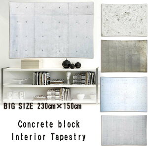 ^yXg[  230×150 Ε ubN łςȂ K RN[g JtF CXgA ̂ ʐ^ Be CeA   t  zM wiz t@ub