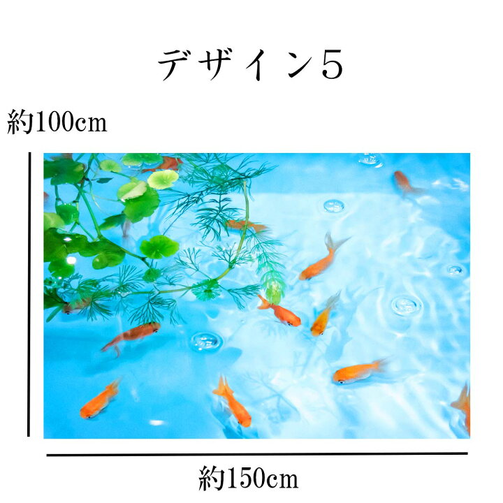 楽天市場 タペストリー金魚 魚 金魚すくい 金魚鉢 水族館 アクアリウム ペット 夏祭り 水槽 出目金 赤 黒 らんちゅう テレワーク 背景 リモート 布 大きい 壁 インテリア 目隠し ファブリックポスター 部屋 飾り おしゃれ かわいい Zoom 映え 長い 横長 撮影