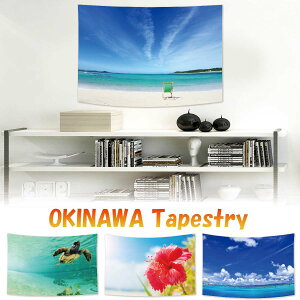 ^yXg[  C r[` ÉF勴 nCrXJX V[T[ O iF  z  s  e[N wi z 傫  CeA ډB t@ubN|X^[   