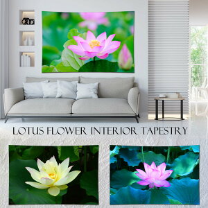 ^yXg[ @  @ t[ sN      ~ ǖ CeA z  ډB  t wiz EH[XebJ[ t@ubN|X^[ ObY G   