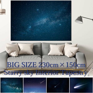 ^yXg[  230×150cm   F     i i ʐ^ 傫  CeA z ډB t@ubN|X^[ wi e[N wiz   唻   