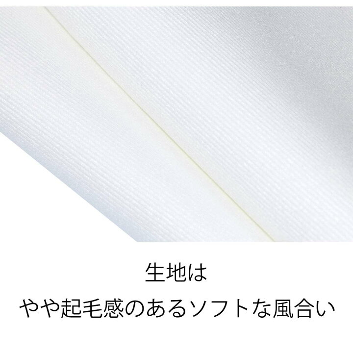 楽天市場 タペストリー 100cm 70cm 北欧 ハンギングプランター おしゃれ ナチュラル シンプル 植物 グリーン リーフ 猫 動物 コンパクト 癒し 部屋 飾り付け 窓 ポスター オンライン飲み会 背景布 ファブリックポスター インスタ映え 布 テレワーク 背景 カフェ