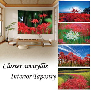 ^yXg[ ފ݉ qKoi ܂񂶂サႰ  H t[ A  G  c  CeA |X^[ e[N wi 傫  z ډB t@ubN|X^[  