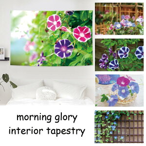 ^yXg[    sN  u[ t[  A G    CeA |X^[ e[N wi 傫  z ډB t@ubN|X^[   Ԏd