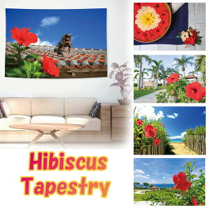 ^yXg[ nCrXJX  ԉ  t[ A  G  C r[`  nC An  CeA |X^[ e[N wi 傫  z ډB t@ubN|X^[ 