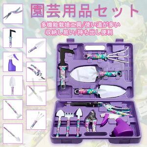 |pi 10_Zbg K[fjOc[ K[fjOZbg  nT~  XRbv F ēڐAW S҃Zbg  ̓ v[g 