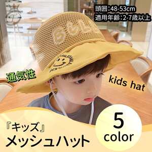 X}C}[N LbYbVnbg 48-53cm   Vv IV  RpNg X q Xq AEghA  Lv q 悯 St j̎q ̎q co