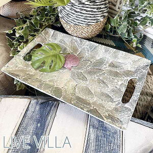 �g���C �������� �g���[ �����t�� �L �V�F�� �C���e���A �����` �X�N�G�A