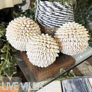 VF ^JKC L Lk {[ CeA S