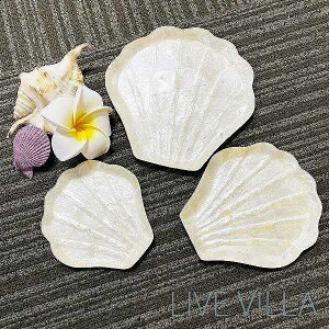 gC  g[ Zbg ANZT[ L JsXL VF CeA