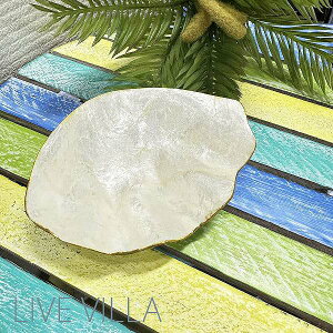 gC  VF L JsXL zCg g[ CeA