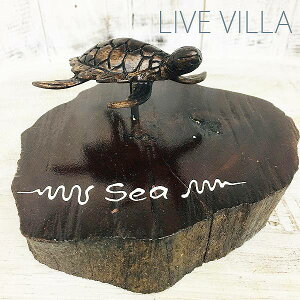 ؒ zk E~K T J T u IuWF  Ebh CeA