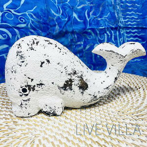  NW ~ u  Ebh IuWF CeA