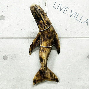 ؒ UgENW NW  zG[ IuWF u^  Ebh CeA