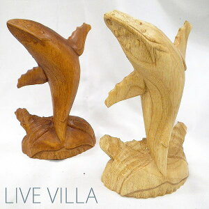 ؒ UgENW NW  zG[ IuWF u^  Ebh CeA