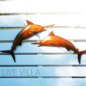 ؒ }JWL JWL Ǌ|  Ebh IuWF CeA