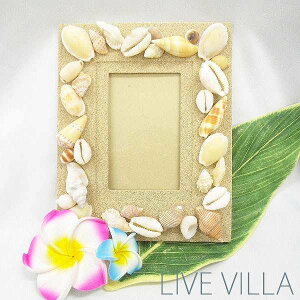 } ʐ^ tHgz_[ tHgt[ photo 16×20 VF L  Lk CeA