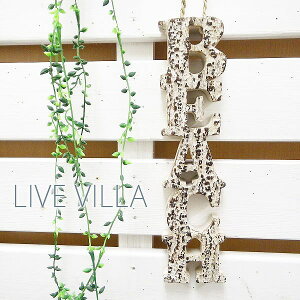 I[ig ݂艺 BEACH Ebh C SURF T[t C CeA G