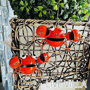 Jj I  ACA S ݂艺 IuWF AWA  bh