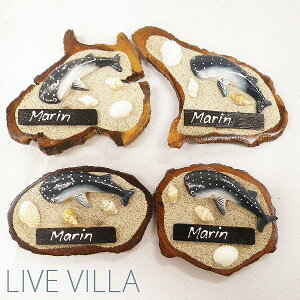 }Olbg VR ۑ WxGU  WxG WxC T  L y[֑Ήz