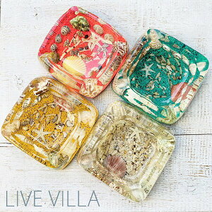 DM VF L Lk CeA AbVgC C SEA 킢