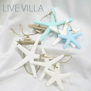 qgf  ݂艺 nLO X^[tBbV Ebh  IuWF 킢