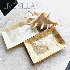 gC  g[ ANZT[ VF L JsXL CeAy[֑Ήz