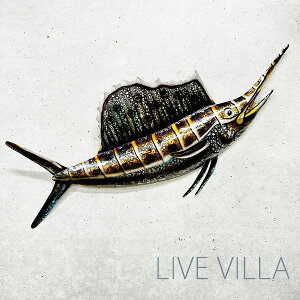 ACA JWL oVEJWL S Ǌ| IuWF