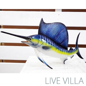 カジキ 画像 カジキ 稚魚 画像