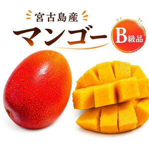 �{�Ó��}���S�[B�i2�`3�ʃZ�b�g(1kg�O��)�{�Ó��Y�}���S�[����}���S�[�󂠂�ƒ�p����p�Y�n�����ăM�t�g���ʌ��著�������t���[�c�썑�t���[�c�}���S�[ �������� �� ���ʉ��i �󂠂�i 
