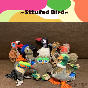 y  zC^A[J[ ybgpi ̏o邨 ybg ʂ  p  ybgp a v[g  J  Aq tN