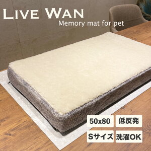  ybgpxbh STCY OWA[xbh pxbh  L  VjA V  Q h~ ᔽ  ^ C^A  􂦂 