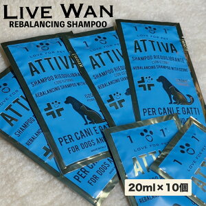  y20ml × 10Zbgz oVOVv[  Vv[ ybg  PApi 畆gu 畆ア ɗD CɂȂ ̏LP ybgpVv[ yb