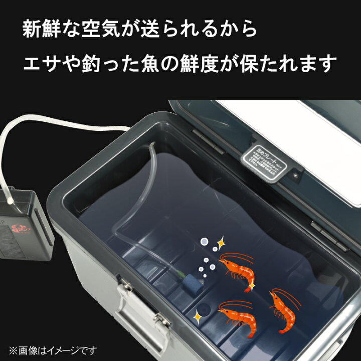 楽天市場】【エアレーター対応】活エビ エビが元気 えび 保冷 クーラー 