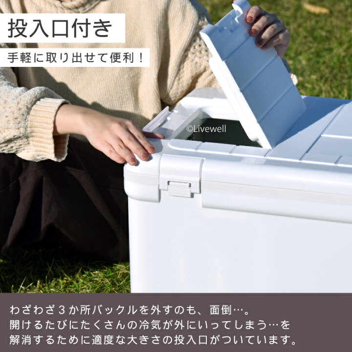楽天市場】保冷 大型 クーラーボックス 大容量【ホリデークルーズ】45L 