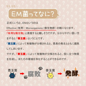 生ゴミ処理機コンポストボカシボックス20