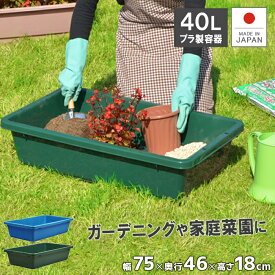 楽天市場 プラスチック 水槽 大型の通販