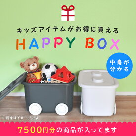 福袋 限定 【ハッピーボックス】 おすすめ 人気 2025年 おしゃれ かわいい まとめ買い おもちゃボックス おもちゃ収納 子ども 子供 タイヤ ボックス 収納 蓋 バッグ 食器 割れない 割れにくい プラスチック 水に強い